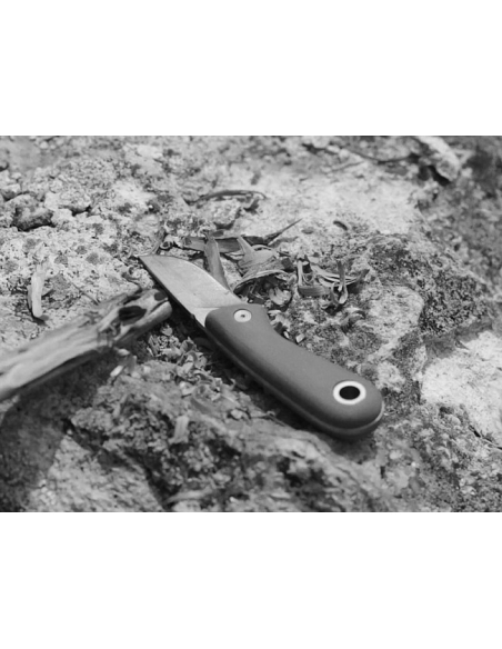Cuchillo de hoja fija Vertebrae Gerber